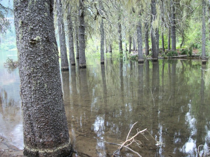 kachess elephant knees new 2014